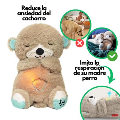 Peluche Nutria de Sueños